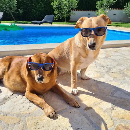 Villa Baleta Butkovići